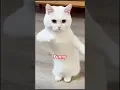 Download Lagu 😄😄😄Best funny😍😍😍#shorts #funny #remix #song #dj #shortvideo #short #remixsong #trending #coversong