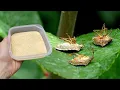 Download Lagu Nisam vidio smrdibube 50 godina! OVO izbjegavaju kao kugu