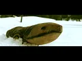 "Go Outside" by Cults (music video)