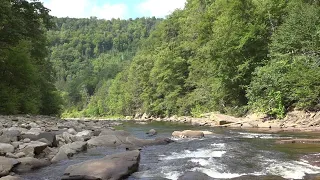 World s End State Park On The Pennsylvania Road