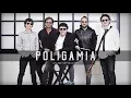 Poligamia - Mi Generación (Cover Audio)