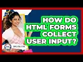 How Do HTML Forms Collect User Input