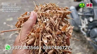 Chana Chilka, Tuvar Bhusa & Gavar Bhusa at N S AGRO FEEDS (Mumbra)