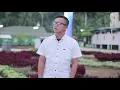 Download Lagu Maharok cinto nan manang_Cover_Putra Tancer