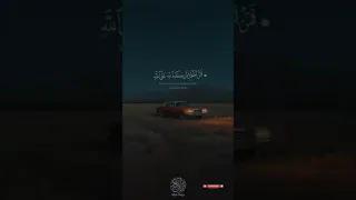 قرآن كريم إنك ميت وإنهم ميتون القارئ ياسر الدوسري الله اكبر اللهم صل على محمد وال محمد 