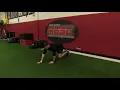 Bear Crawl