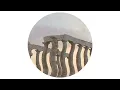 Hidden Spheres - Beachy