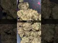 Lit farm-tear gas essential thca flower