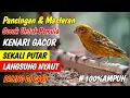 Download Lagu PANCINGAN KENARI GACOR, COCOK UNTUK MASTERAN KENARI PAUD \u0026 PANCINGAN KENARI YANG MALAS BUNYI