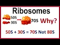 Why 50S 30S 70S for Ribosomes
