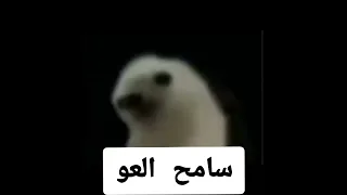 رسميا اغنية سامح العو الرسميه الان وحصريا  دندنها