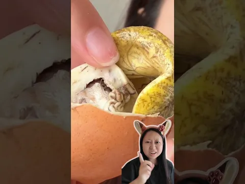 Telur apa itu??! 😱😱 #telur #telurviral #makananviral #embrioayam #telurrebus #telurbalut