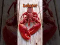 Download Lagu Haram sea food in Islam 🚫#islam #islamicvideo #shorts #religion #shorts #seafood #haram