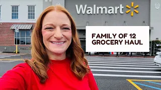 FAMILY OF 12 GROCERY HAUL 