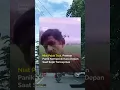 Download Lagu Tak Mau Dipalak, Sopir Truk Tancap Gas! Preman Panik Bergelantungan di Kaca Depan