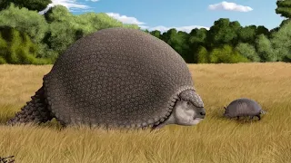 Glyptodonts The Giant Extinct Armadillos of the Americas