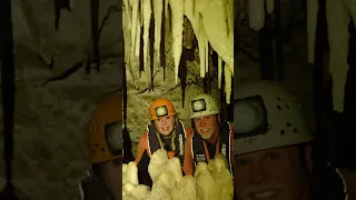 The best glowworm cave tour in all of New Zealand, located on the south Island West Coast ￼￼￼