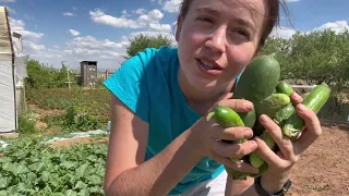 Один час со мной на пекле 