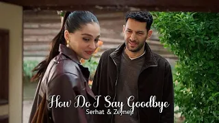 Serhat Zeynep How Do I Say Goodbye 