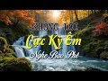 Lagu Nhạc Không Lời Nghe Cực Kỳ Êm, Hòa Tấu Guitar Saxophone Say Mê Lòng, Nhạc Thư Giãn