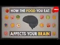 Download Lagu How the food you eat affects your brain - Mia Nacamulli
