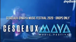 Download Cesqeaux @MAYA Music Festival 2020 - Drops Only MP3