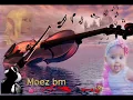 عاصى الحلانى    مالى صبر