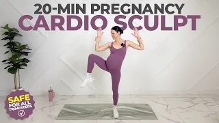 Fit Pregnancy Workout! (Cardio + Toning)