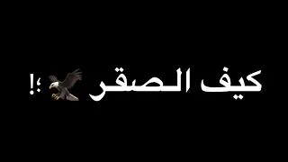 ايمن الدرسي كيف الصقر عايش على العصر عايش صقر شاشه سوداء بدون حقوق حالات واتس اب جديد2022كرومات هيبة 