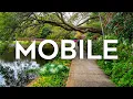 Top 10 Best Things to Do in Mobile Alabama - Travel Guide 2024