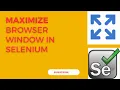 Maximize browser window in Selenium Java