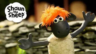 New Hair Style 🐑 Shaun the Sheep 🐑  - Cartoons for Kids 🐑 Full Episodes Compilation