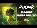 Download Lagu ATLXS - PASSO BEM SOLTO [NORMAL / SPED UP / SUPER SPED UP / SLOWED / SUPER SLOWED]