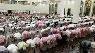 سور الروم لقمان السجدة الأحزاب سبأ فاطر للقارئ بدر التركي ليلة ٢٤ رمضان ١٤٤٠هـ  سور الروم لقمان السجدة الأحزاب سبأ فاطر للقارئ بدر التركي ليلة ٢٤ رمضان ١٤٤٠هـ