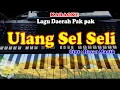 Download Lagu LAGU PAK-PAK -  ULANG SEL SELI - KARAOKE