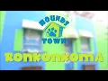 Hounds Town USA Store Walkthrough - Ronkonkoma NY
