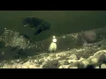 fishing the sea girt reef for sea bass