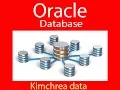 Oracle commands DML tutorial Insert Select Update Delete CRUD