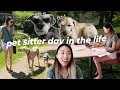 Day in the Life of a PET SITTER travelling pet sitting in the Okanagan BC VLOG