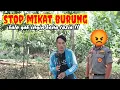 Download Lagu Kebijakan YouTube Terbaru 2025 KONTEN MIKAT BURUNG  DIBANNED MASSAL 