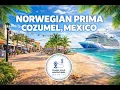 Lagu Norwegian Prima | Cozumel, Mexico 🇲🇽 | Crazy Storm \u0026 Vendors Everywhere!