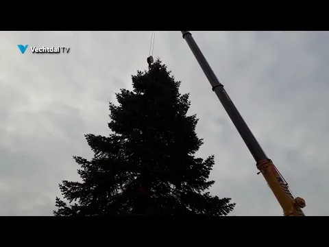 Hoe hoog is de kerstboom op de markt in Dedemsvaart?