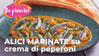 ALICI MARINATE su CREMA di PEPERONI e ANETO✨🐟🫑