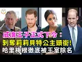 Download Lagu 王室新規曝光！威廉王子正式下令：剝奪莉莉貝特公主頭銜！哈里梅根徹底被王室除名！王室律師證實：他們永遠都回不來了#英國王室#談笑娛生