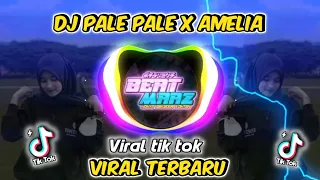 Download DJ Pale Pale  x Amelia | Remix Full Bass | Viral Tiktok Terbaru 2021 MP3