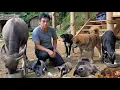 Vietnamese man cooks delicious meal for pet and sleeps overnight with pet at new home