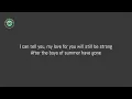 Don Henley - The Boys Of Summer (Lyrics)