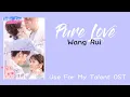 Pure Love - Wang Rui (王锐)  | UseFor My Talent OST