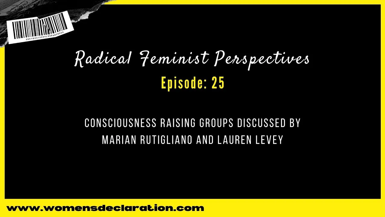 Consciousness Raising Groups discussed by Marian Rutigliano and Lauren Levey