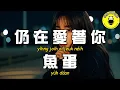 Download Lagu 【粵語】魚蛋 - 仍在愛著你(原唱：林韻喬)『明白愛太深 會失智淪陷』【繁體拼音動態歌詞Lyrics】【CC字幕】